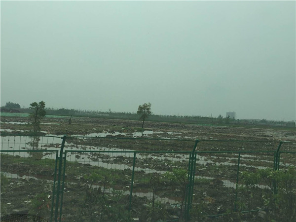 图一.jpg 图一.jpg